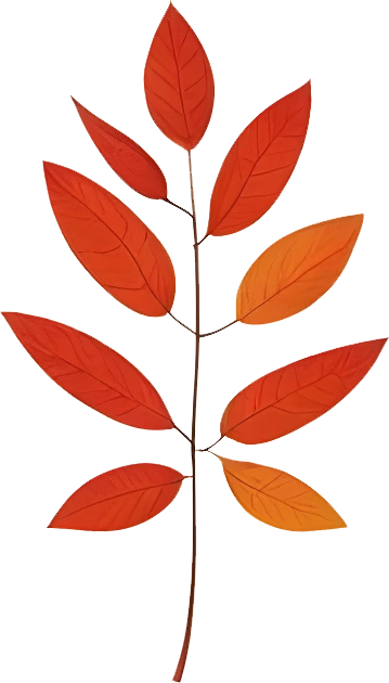 rendy Foliage Design, Leaf PNG Download, Tropical different type exotic leaves set_15.webp